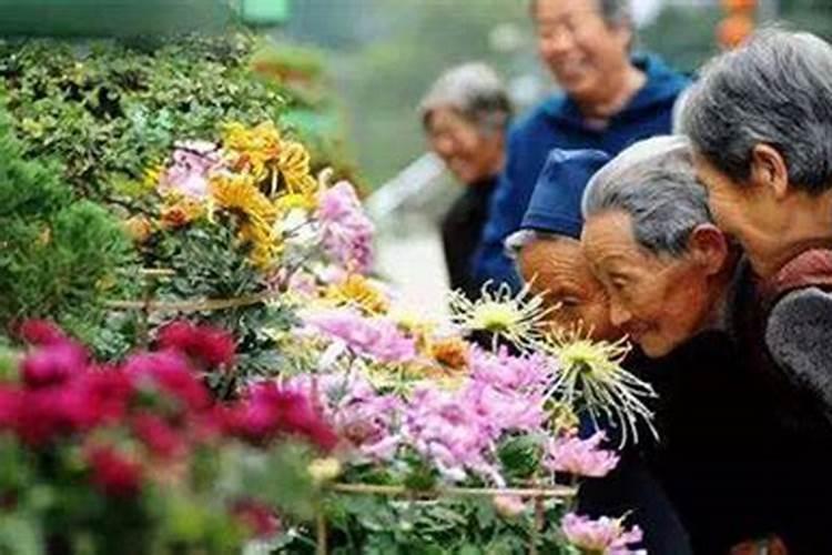 家乡的风俗重阳节开头