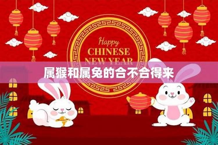 属猴和属兔合不合得来