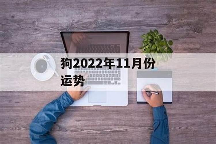 属狗人11月份运势2020