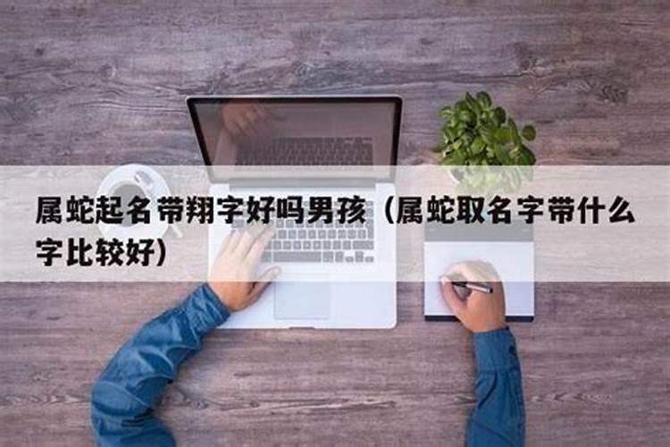 属蛇人适合挂什么字