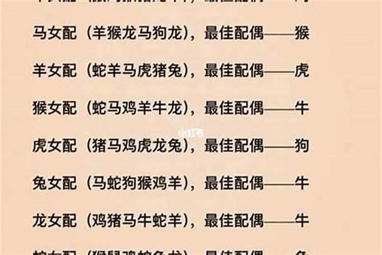 男鼠与什么属相最合适