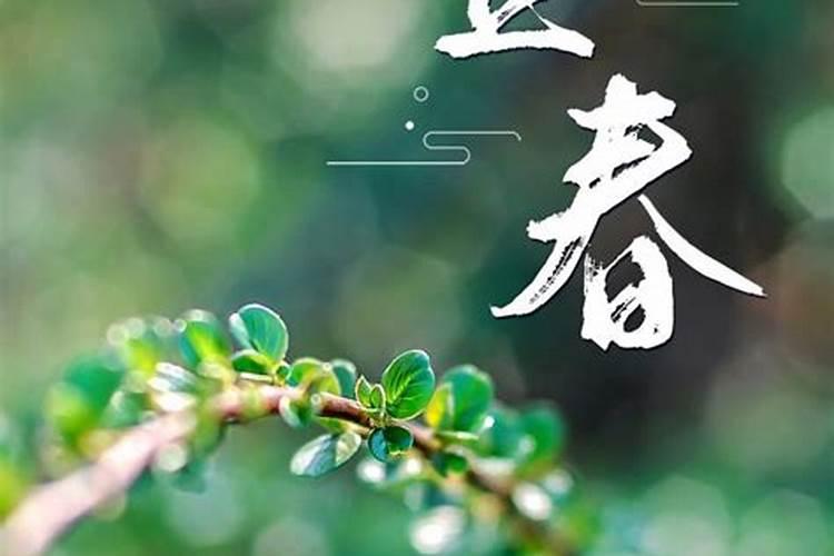 2月4日立春在什么时候