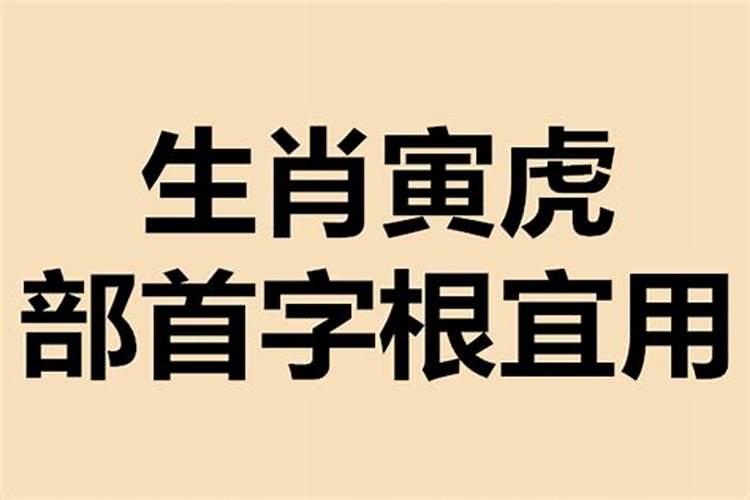 属马年和属狗的八字合不合