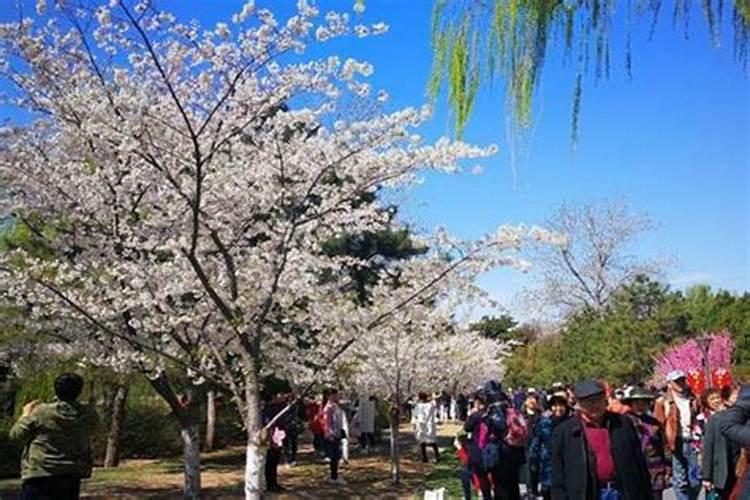 清明节爬山适合去哪