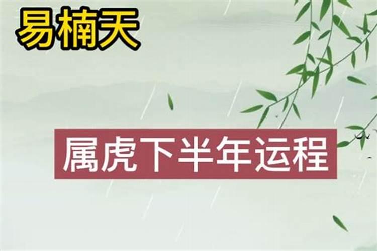 2021年属虎下半年感情