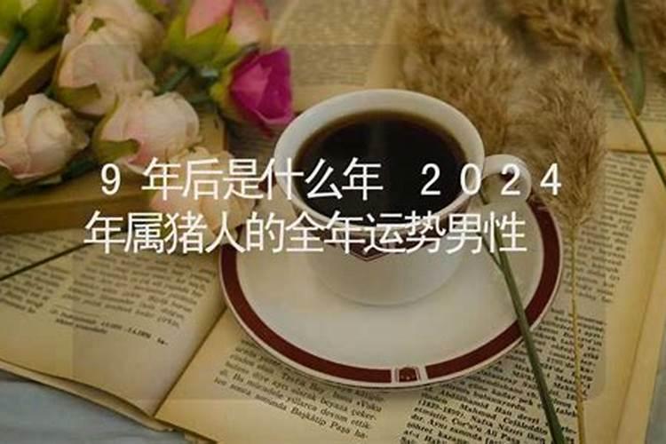 2024属猪人的全年每月运势是什么