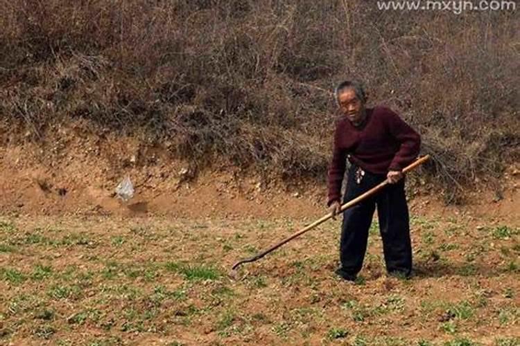 女人梦见挖地