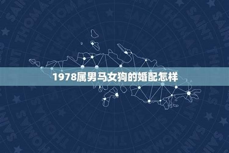 78年跟78年合婚吗