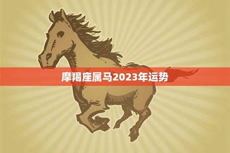 十二生肖之马2023年运势如何