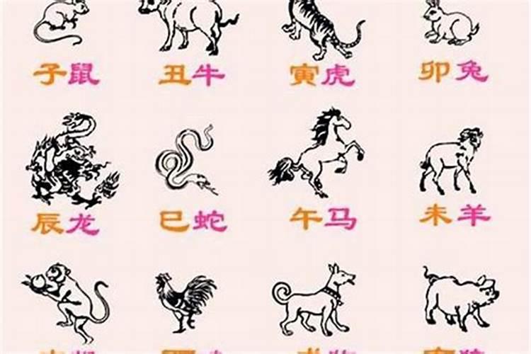 属鸡的和属猪的八字合不合得来