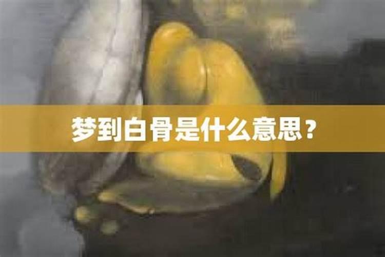 梦到捡白骨