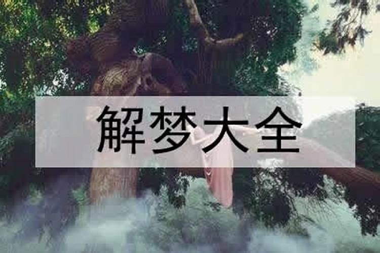 梦见女朋友做坏事