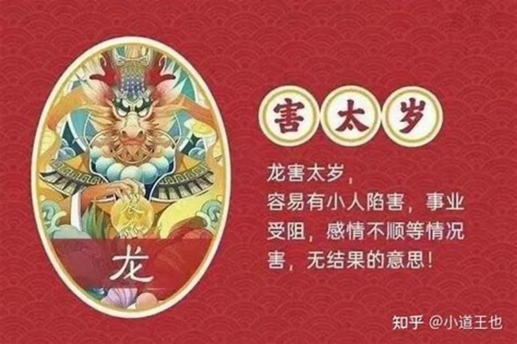 属龙犯太岁化解方法2022