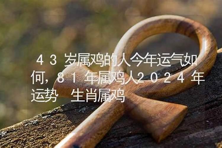 43属马今年是什么运气