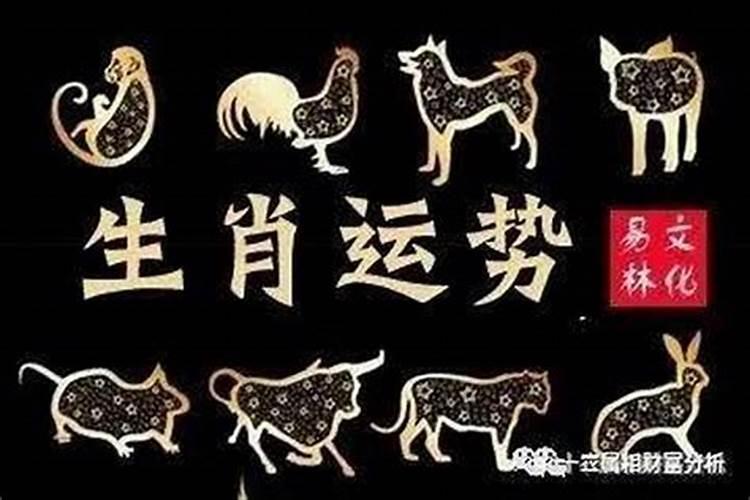 属鼠牛年的运势怎么样2021