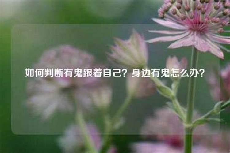 算命的说有鬼跟着我可信吗