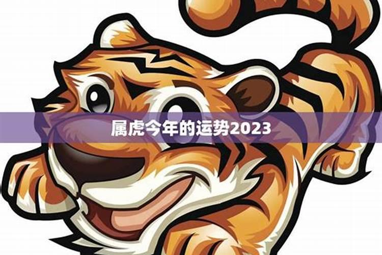 属虎今年运势2023男性