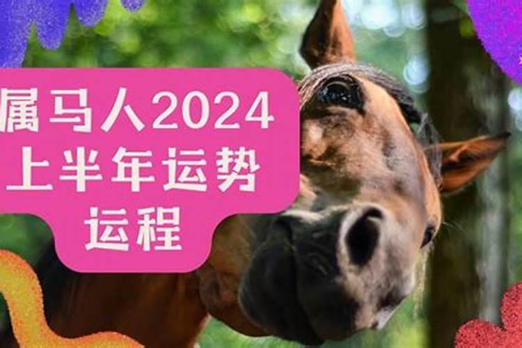 2024年马如何化解太岁