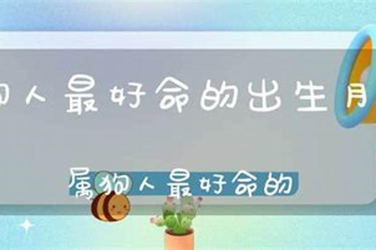 82年的狗8月份运势