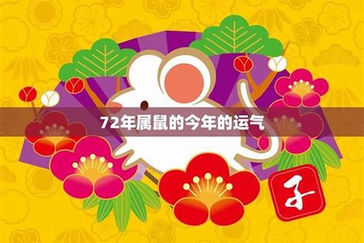 72年鼠今年运势及财运2022