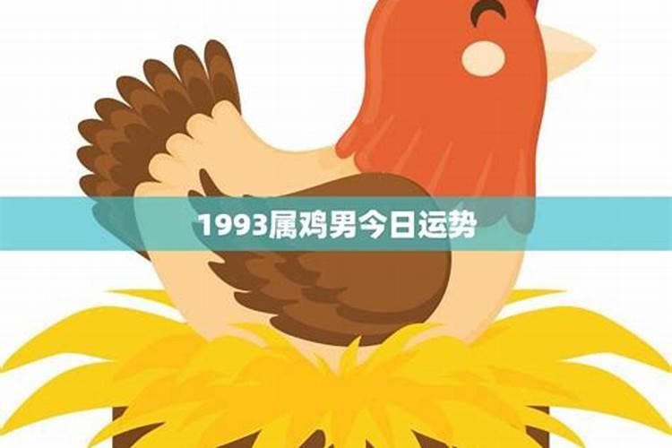 属鸡男今年运势93年运程