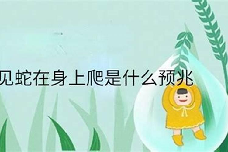 梦见乳房是什么征兆