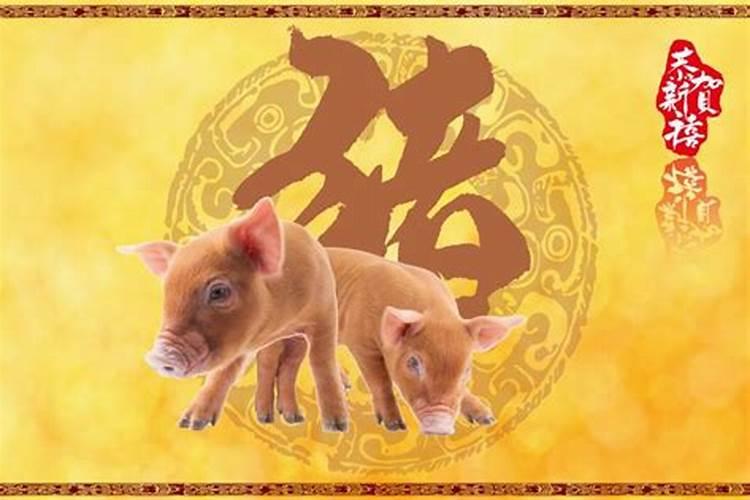 属猪今年六月运势