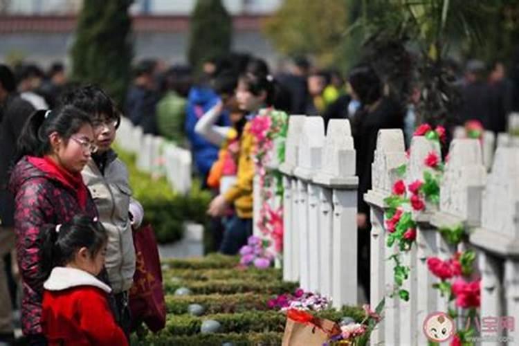 清明节能祭扫吗