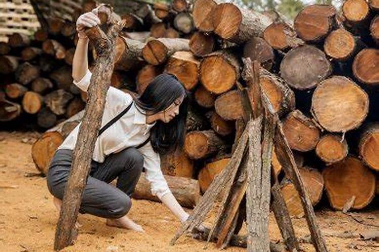 梦见女人砍柴