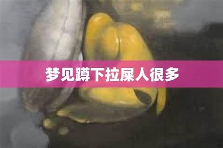 梦见公厕很多人