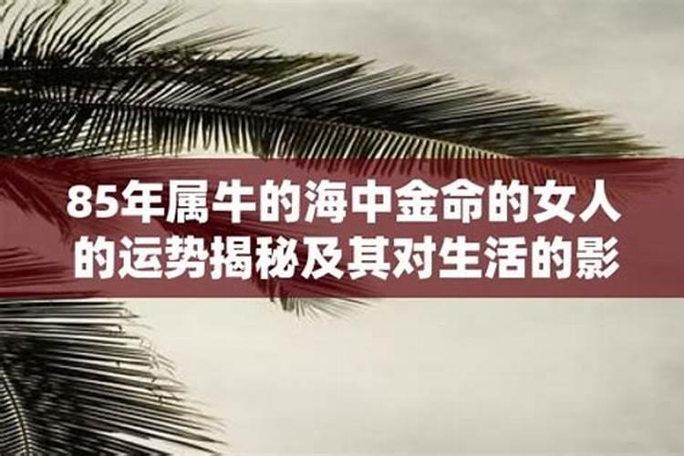 海中金命的女人有财运吗