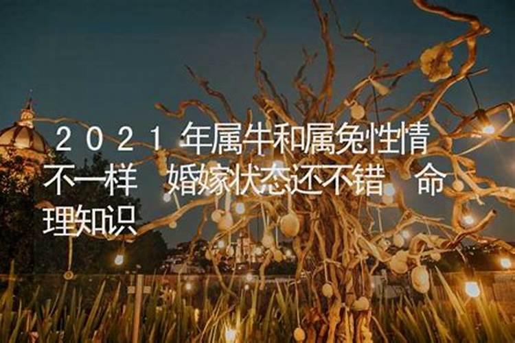 2021年属牛和属兔的复合运势