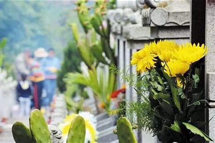 清明节人们到郊外去祭扫还有什么