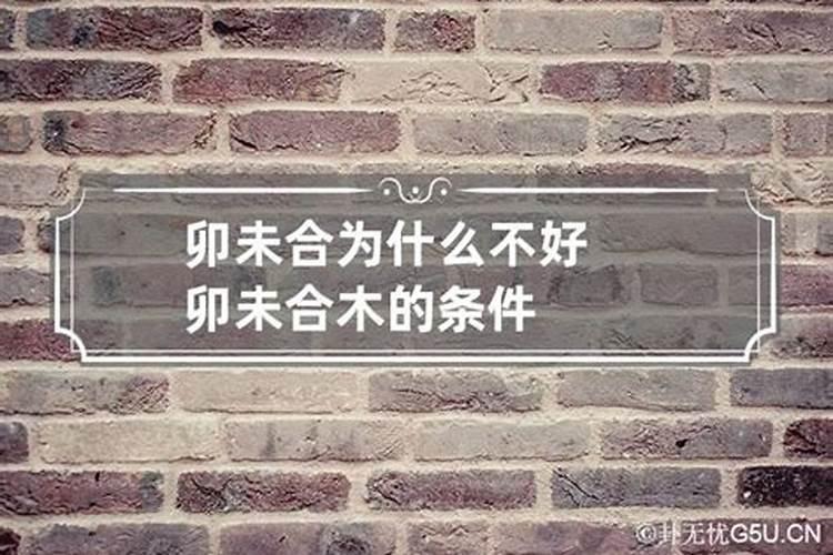 八字未申合变了什么意思