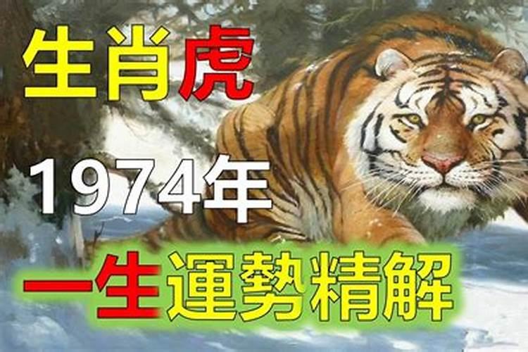 1974年的属虎在2021年怎么样