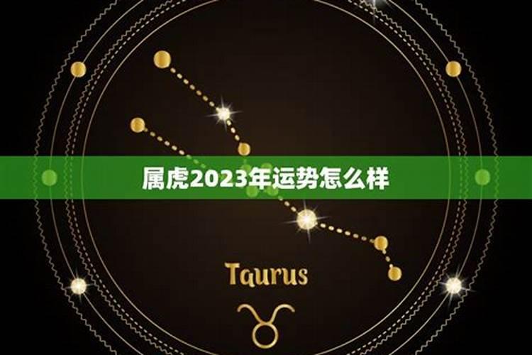 属虎人2023年运势运程桃花星