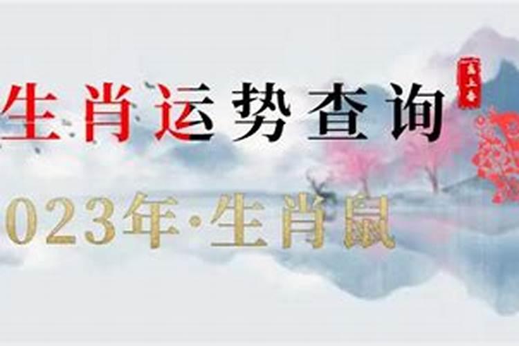 84年属鼠人今年运势2021年每月运势女