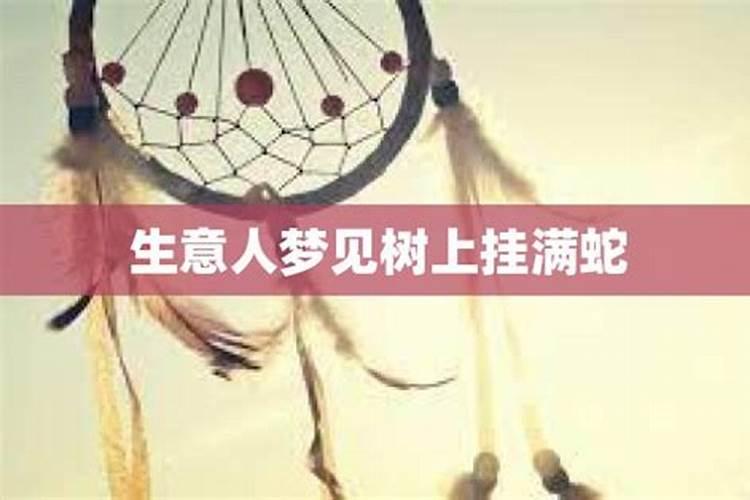 梦见树上挂着一口棺材好不好