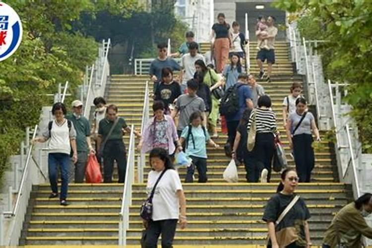 重阳节拜祭祖先简单祭品