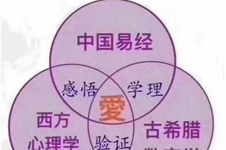 生命密码6号人财运怎么样