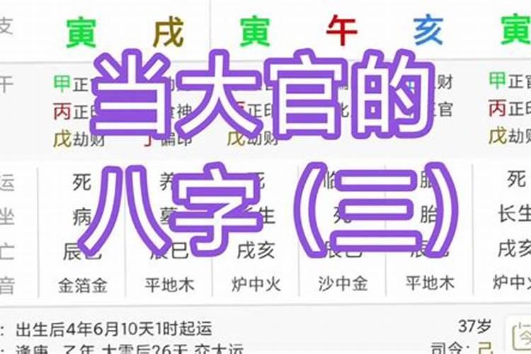 能当官的八字特点