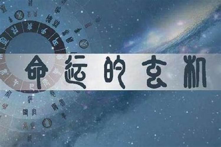 什么八字会当官的人