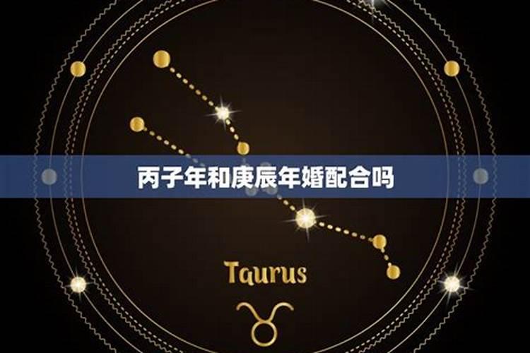 天降星座是什么意思