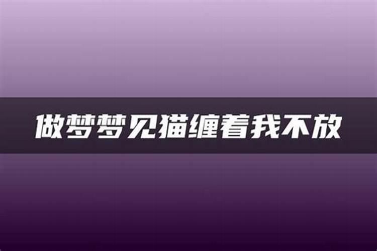 梦见将死之人缠着我