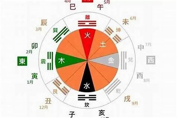 怎么从出生年月日看五行