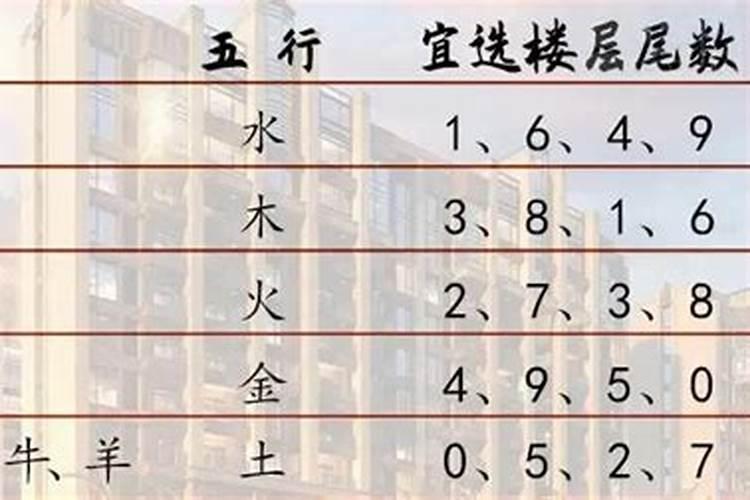 7楼五行属什么