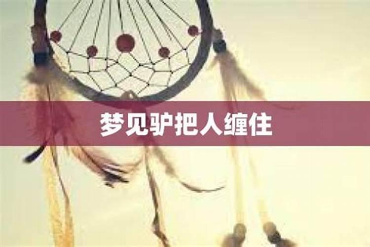 梦见有人缠住自己什么意思