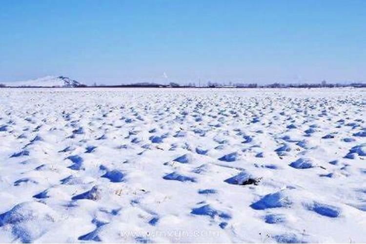 梦见满地都是雪周公解梦