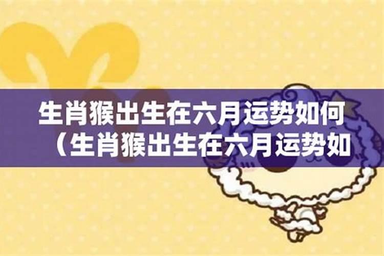 6月份属猴的运程如何