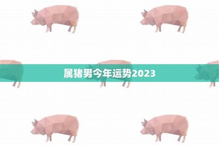 属猪男今年运势2021